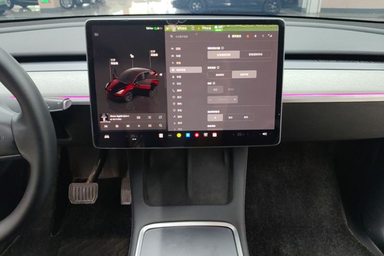 Tesla Model Y 2024 car image #13