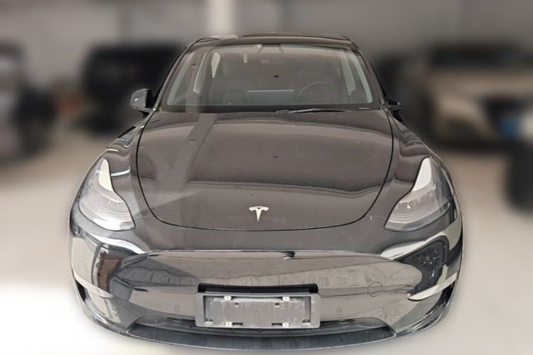 Tesla Model Y 2021 car image #3