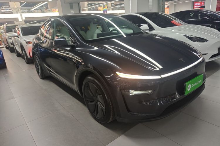 Tesla Model Y 2025 car image #4