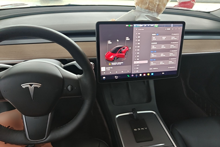 Tesla Model 3 2022 car image #10