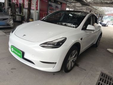 Tesla Model Y 2021 car image 