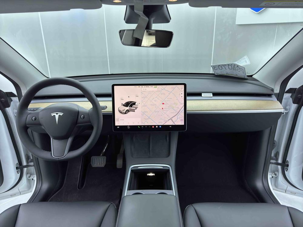 Tesla Model Y 2021 car image #15