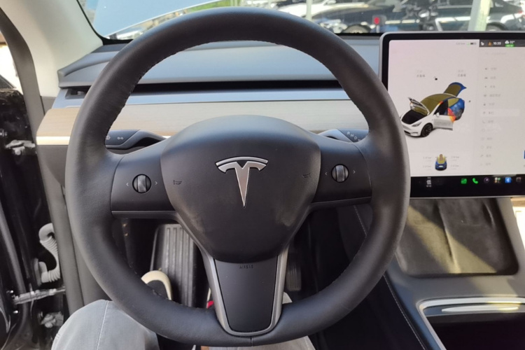Tesla Model Y 2021 car image #11