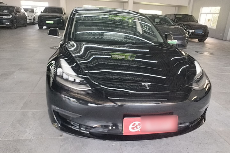 Tesla Model 3 2020 immagine di auto #3