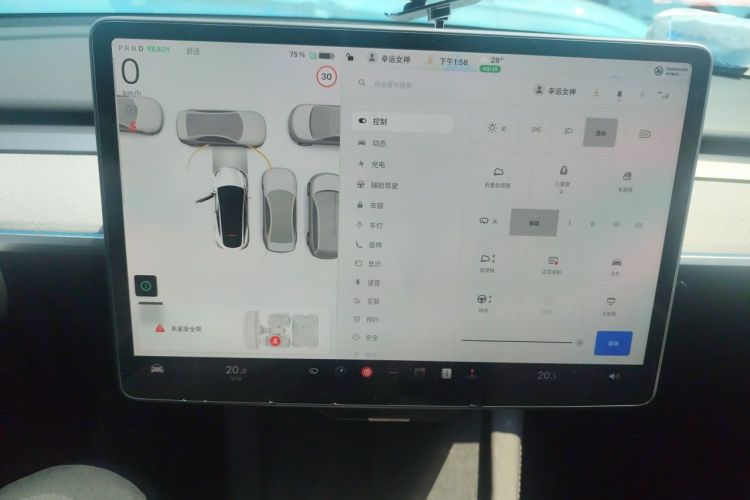 Tesla Model Y 2023 #12 Tesla Model Y 2023 car image #12