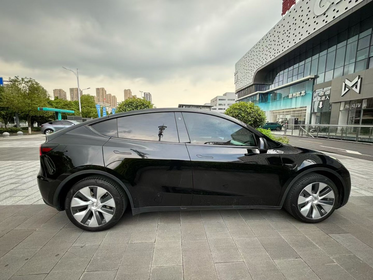 Tesla Model Y 2023 car image #8