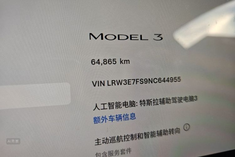 Tesla Model 3 2022 car image #14