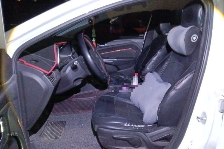 Chery Arrizo 5 2016 car image #17