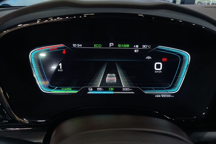 BYD Han 2022 #12 BYD Han 2022 immagine di auto #12