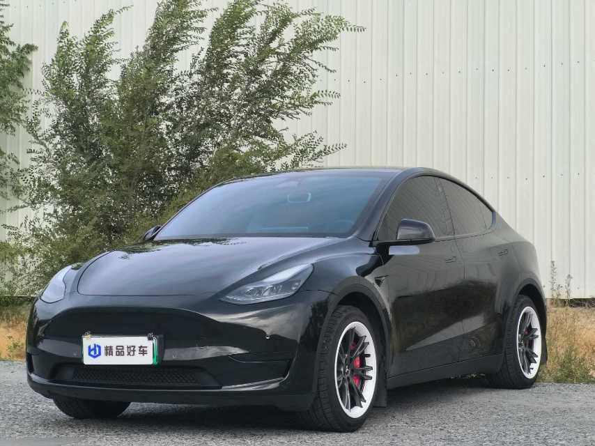 Tesla Model Y 2024 Tesla Model Y 2024 car image