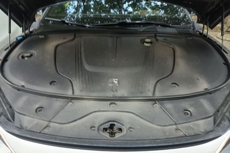 BYD Han 2024 car image #20