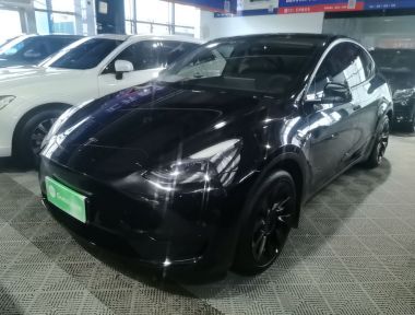 Tesla Model Y 2022 Tesla Model Y 2022 car image