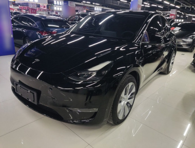 Tesla Model Y 2021 car image 