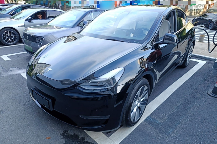 Tesla Model Y 2021 car image #2