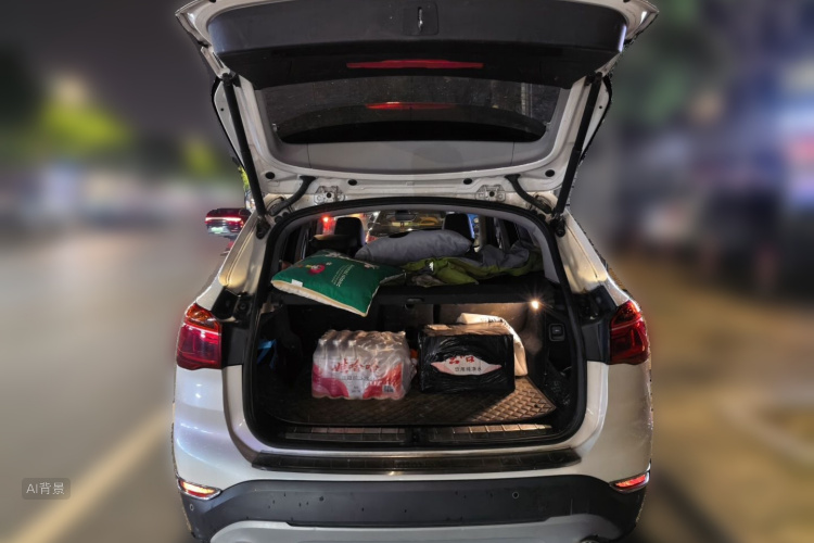 BMW X1 2016 car image #21