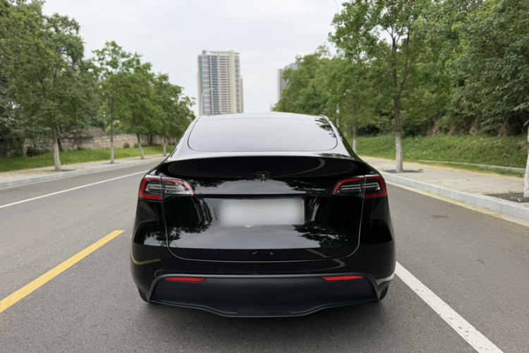 Tesla Model Y 2022 #6 Tesla Model Y 2022 car image #6