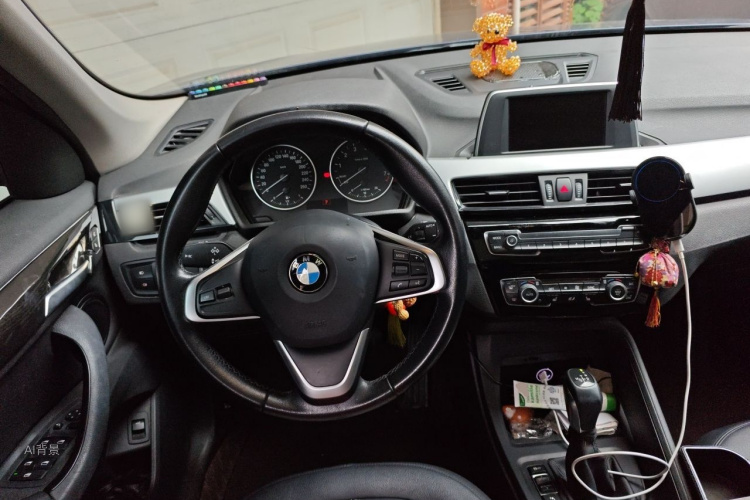 BMW X1 2017 #12 BMW X1 2017 car image #12