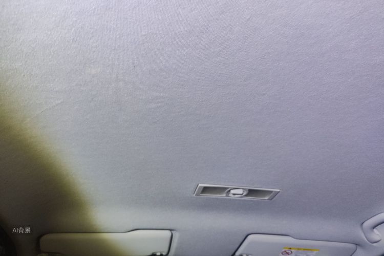 Volkswagen Lavida 2020 car image #20