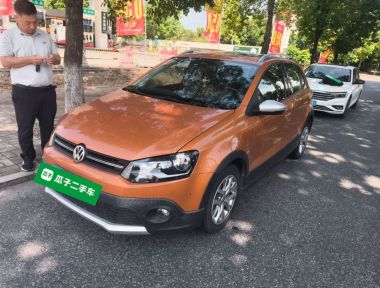 Volkswagen Polo 2015 car image 