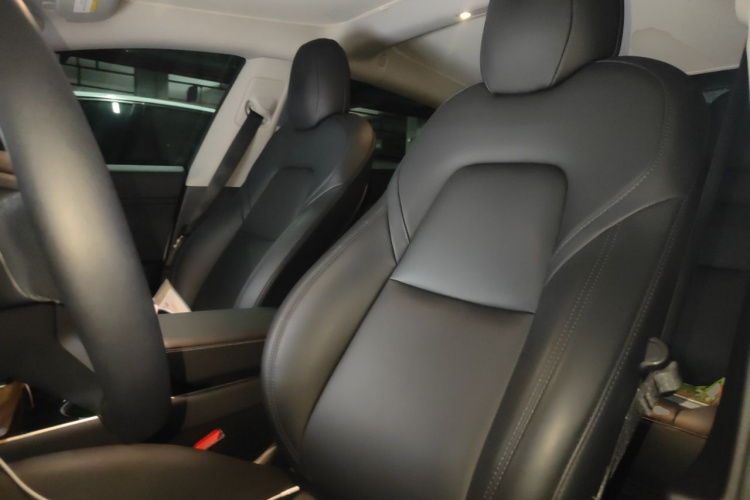 Tesla Model 3 2020 #15 Tesla Model 3 2020 car image #15