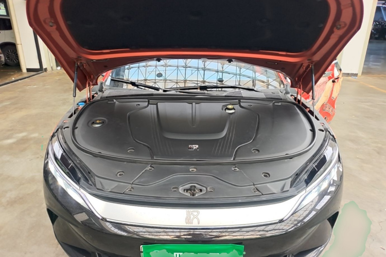 BYD Han 2022 #20 BYD Han 2022 immagine di auto #20