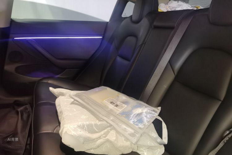 Tesla Model 3 2022 #19 Tesla Model 3 2022 car image #19