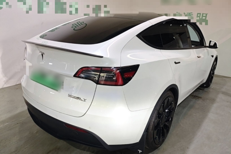 Tesla Model Y 2021 car image #5