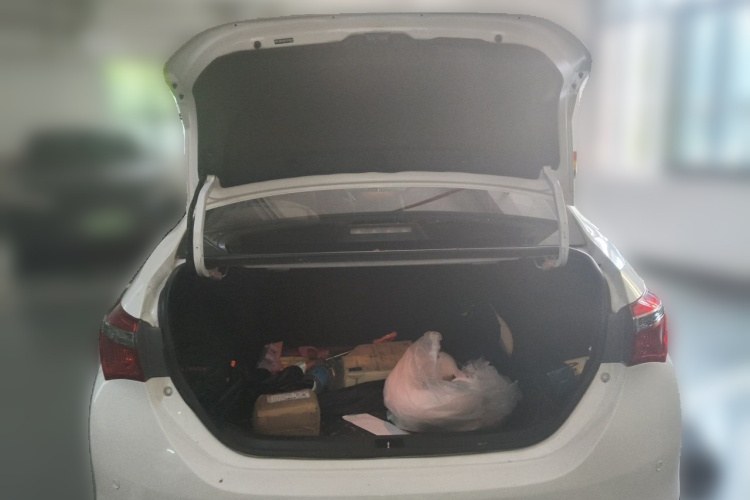 Toyota Corolla 2018 car image #17