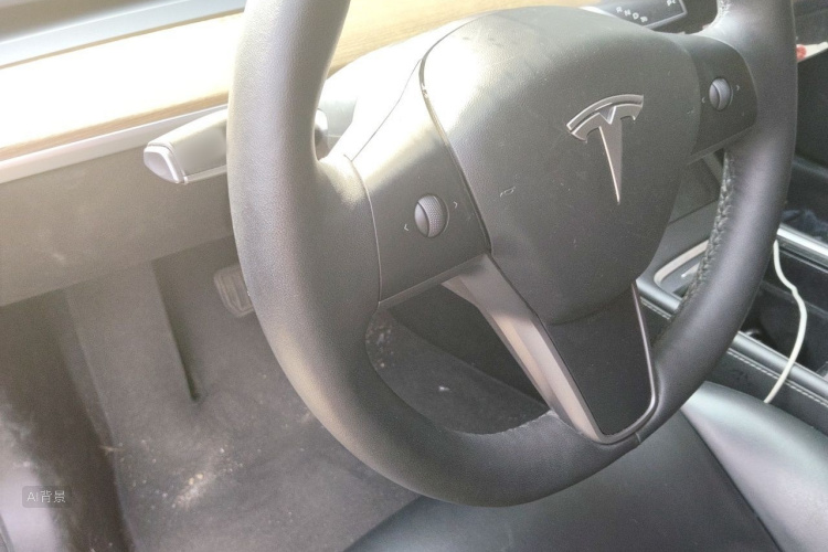 Tesla Model 3 2022 car image #12