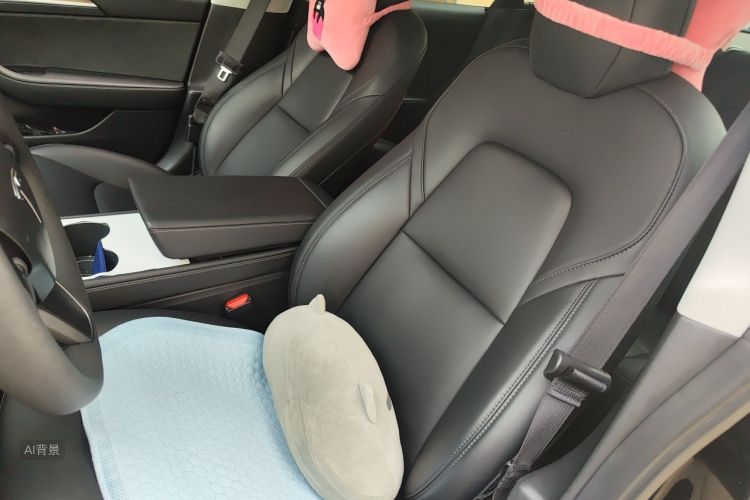 Tesla Model 3 2021 car image #17