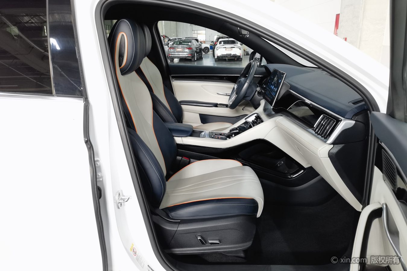 BYD Song Plus New Energy 2021 #24 BYD Song Plus New Energy 2021 car image #24