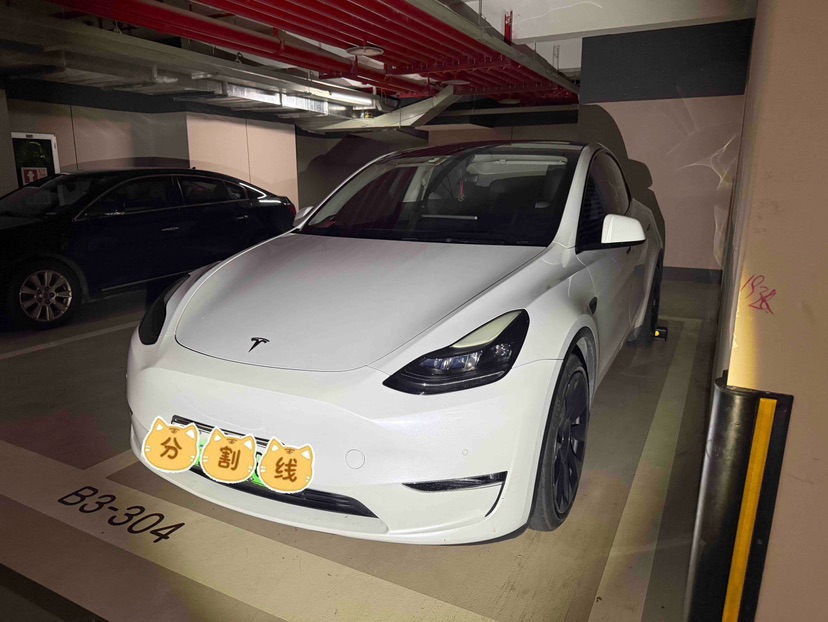 Tesla Model Y 2022 Tesla Model Y 2022 immagine di auto