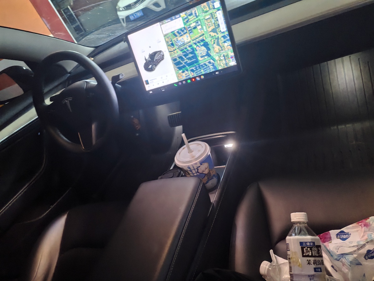 Tesla Model 3 2021 immagine di auto #3