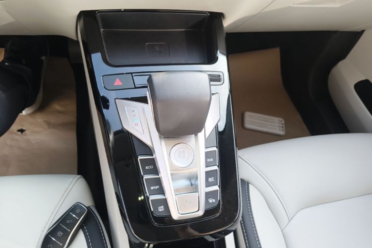 BYD Yuan Pro 2021 immagine di auto #18