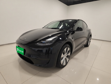 Tesla Model Y 2022 car image 