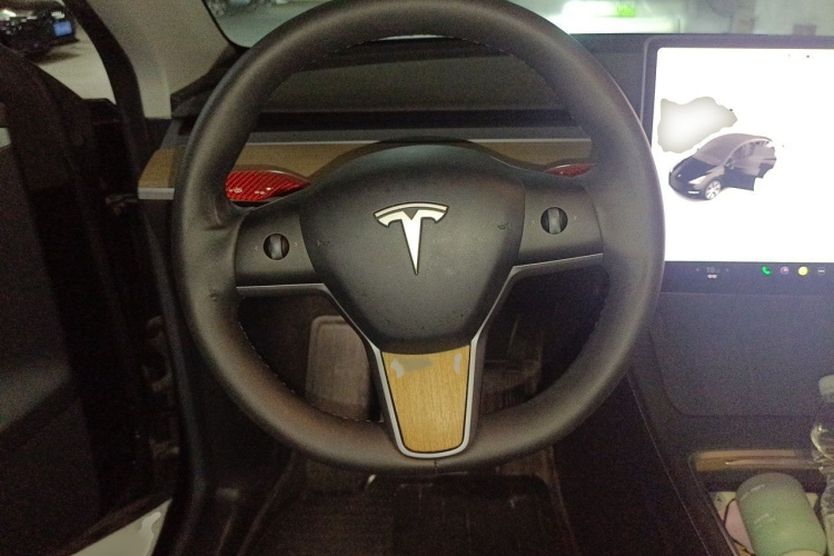 Tesla Model Y 2022 car image #13