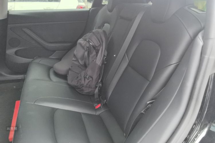 Tesla Model 3 2023 car image #19