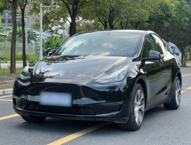 Tesla Model Y 2021 Tesla Model Y 2021 immagine di auto