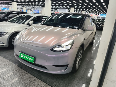 Tesla Model Y 2023 Tesla Model Y 2023 car image