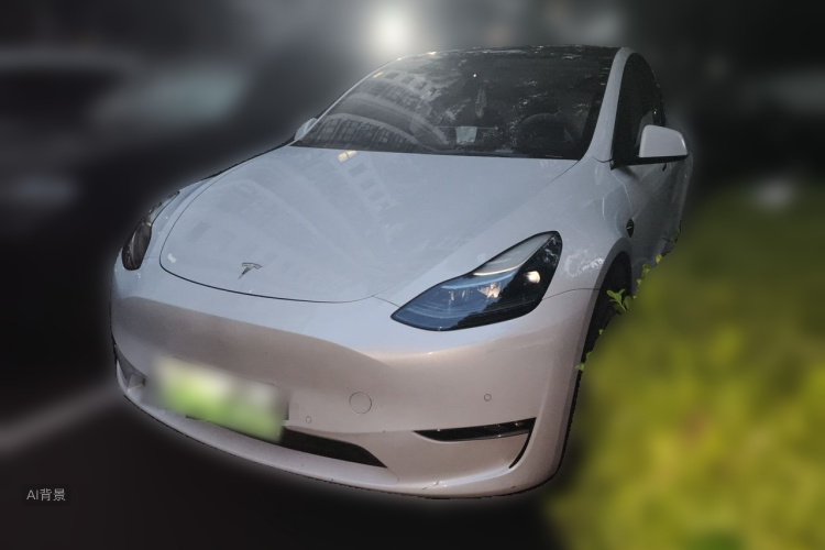 Tesla Model Y 2021 #2 Tesla Model Y 2021 car image #2