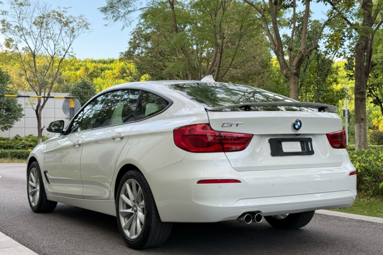 BMW 3 Series GT 2018 car image #6