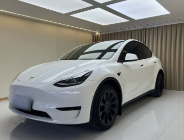 Tesla Model Y 2022 Tesla Model Y 2022 car image
