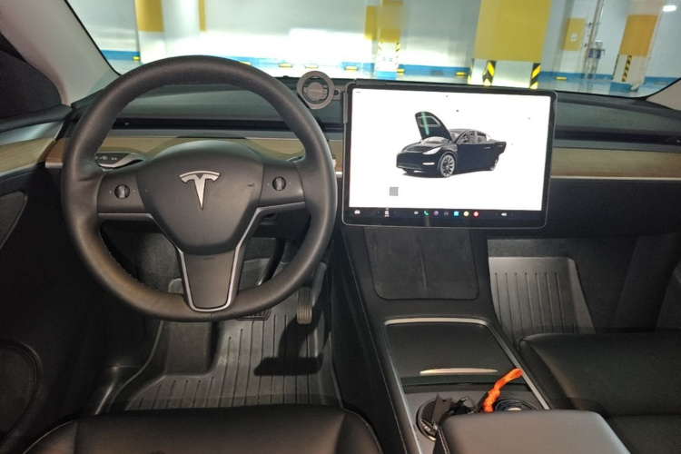 Tesla Model Y 2022 car image #10