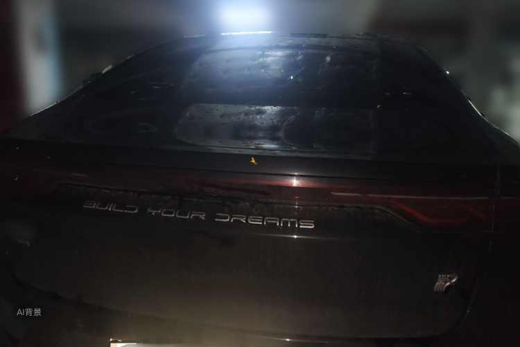 BYD Han 2024 car image #6