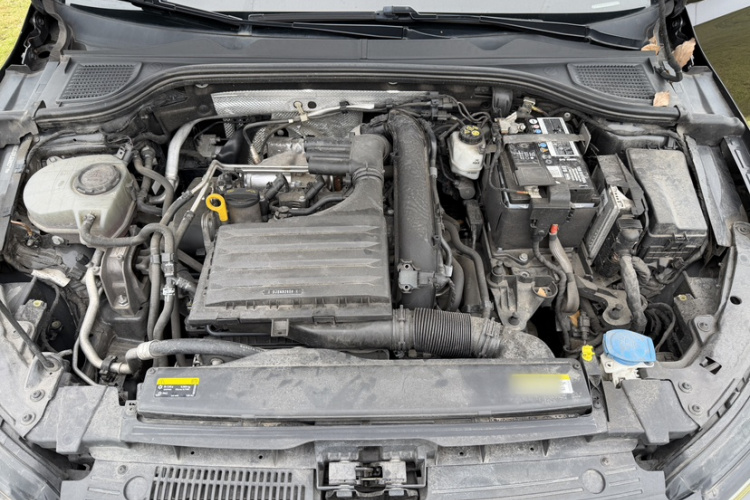 Volkswagen Golf 2021 #19 Volkswagen Golf 2021 صورة سيارة #19