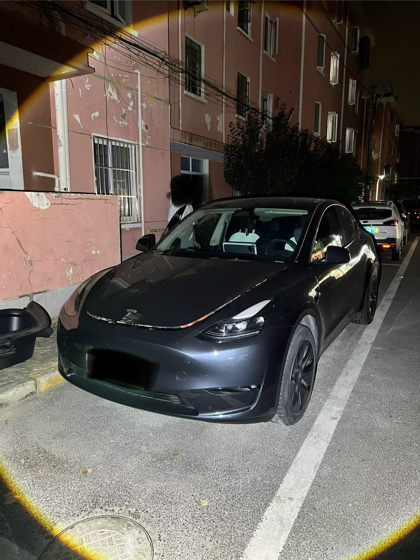 Tesla Model Y 2024 Tesla Model Y 2024 car image
