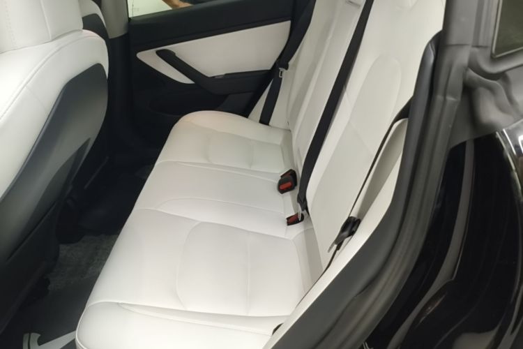 Tesla Model 3 2020 car image #13