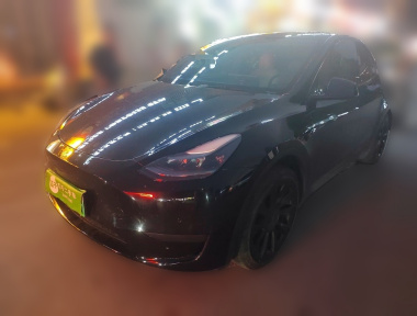 Tesla Model Y 2023 Tesla Model Y 2023 car image