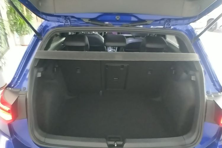 Volkswagen Golf 2021 car image #19