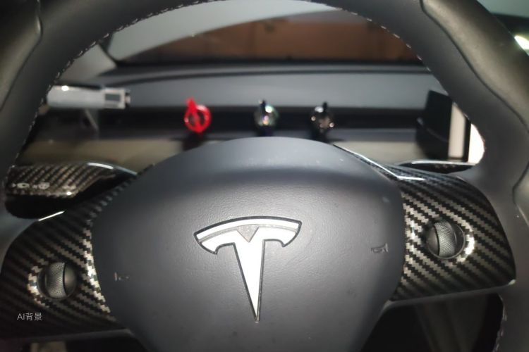 Tesla Model Y 2022 car image #13